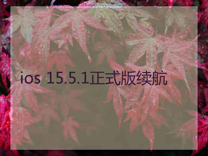 ios 15.5.1正式版续航