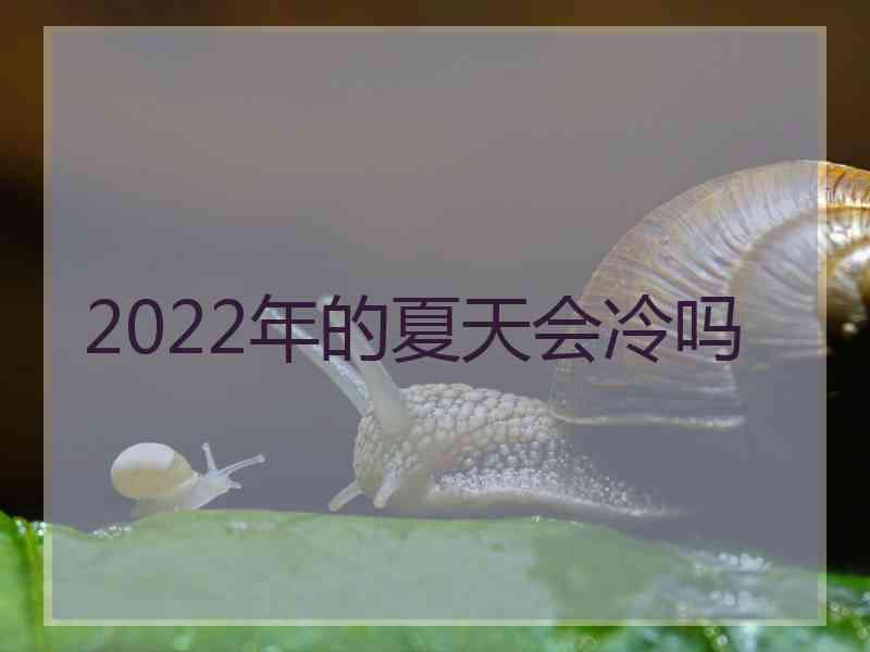 2022年的夏天会冷吗