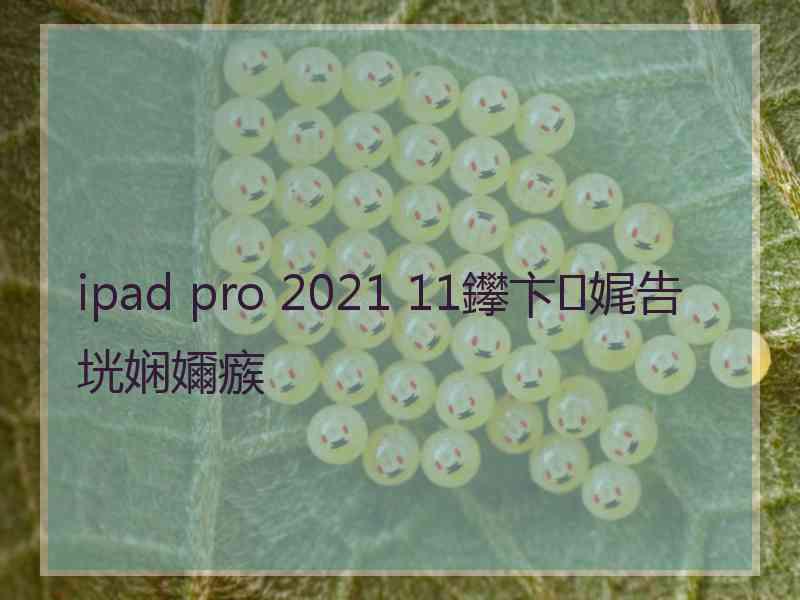 ipad pro 2021 11鑻卞娓告垙娴嬭瘯