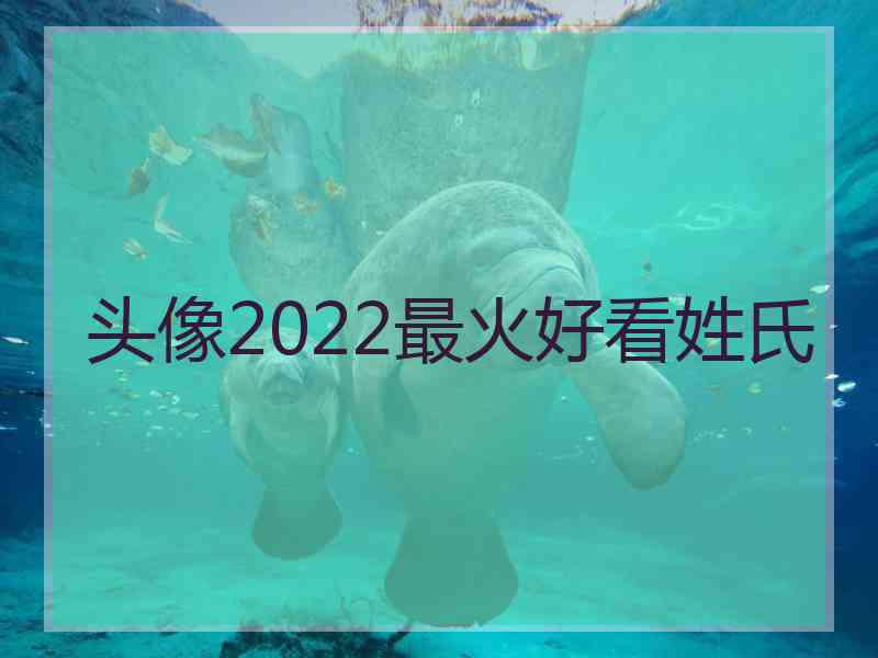 头像2022最火好看姓氏