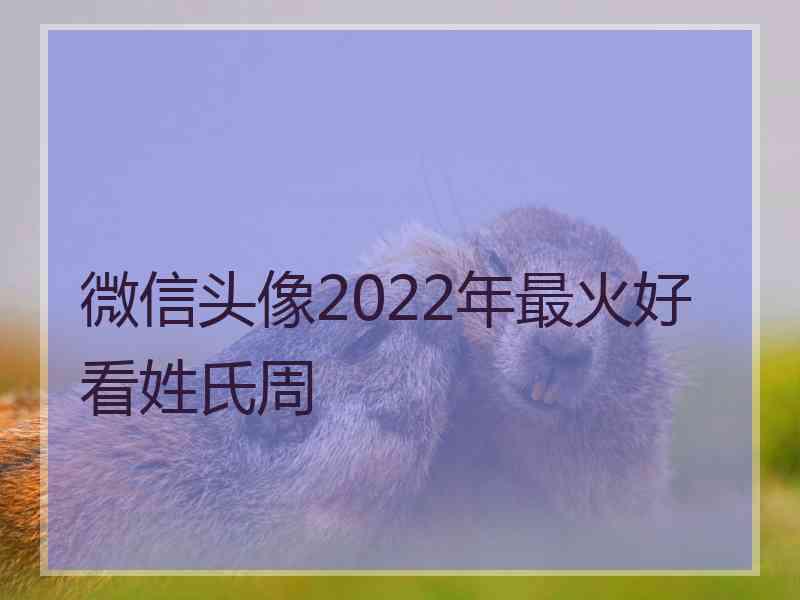 微信头像2022年最火好看姓氏周