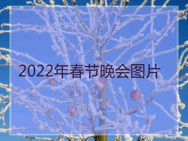 2022年春节晚会图片