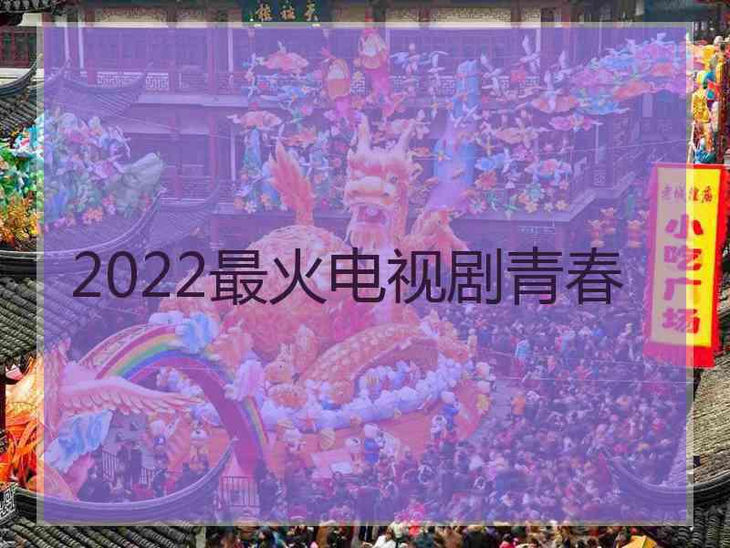 2022最火电视剧青春