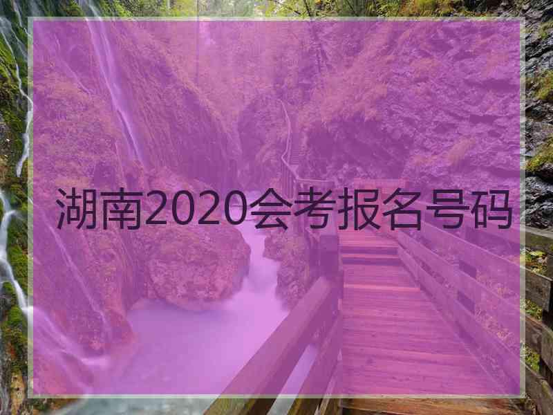 湖南2020会考报名号码