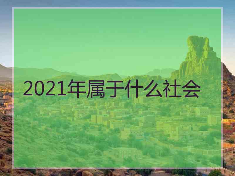 2021年属于什么社会