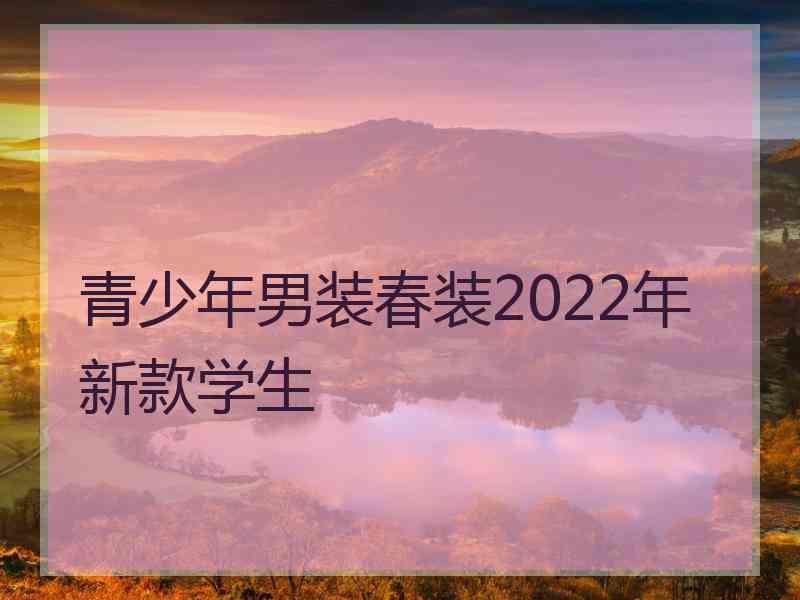 青少年男装春装2022年新款学生