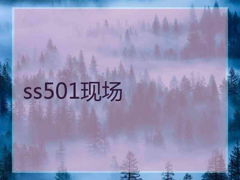 ss501现场