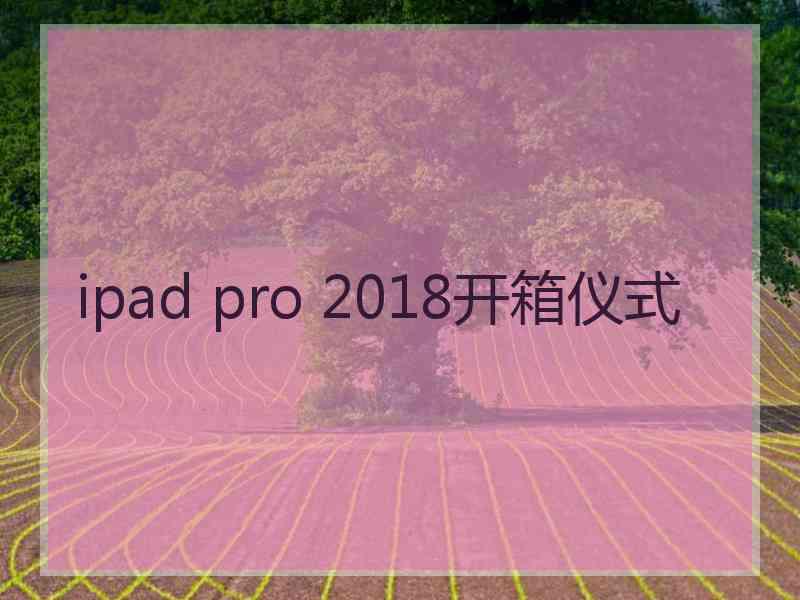 ipad pro 2018开箱仪式