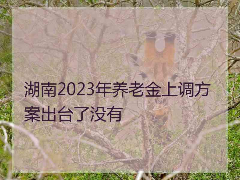 湖南2023年养老金上调方案出台了没有