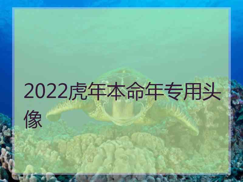 2022虎年本命年专用头像