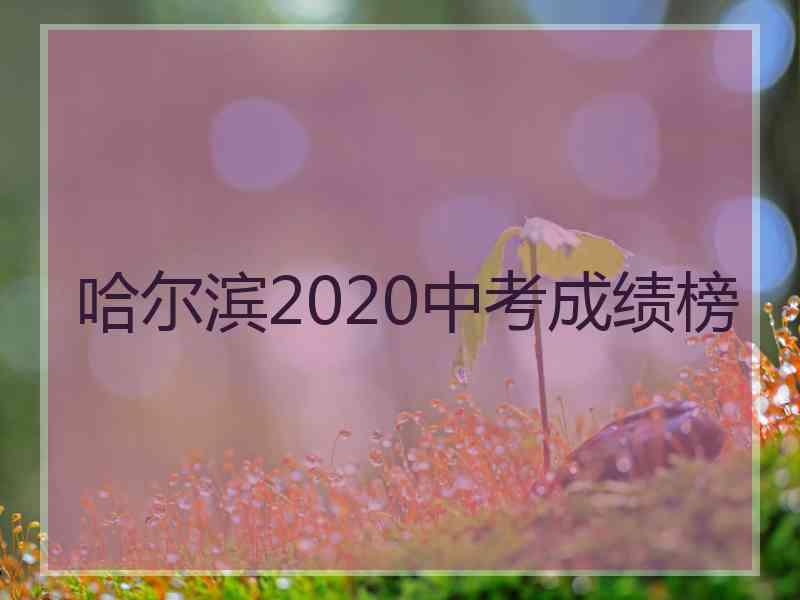 哈尔滨2020中考成绩榜