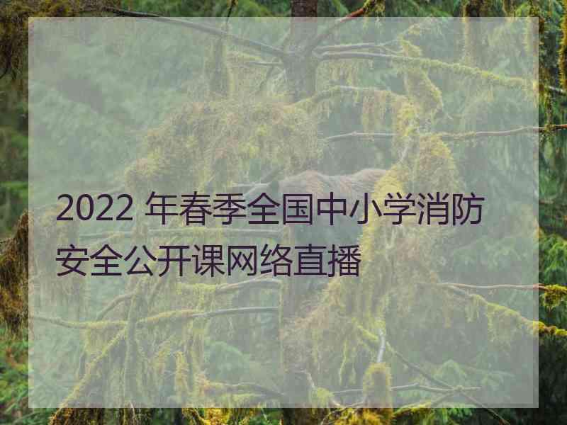 2022 年春季全国中小学消防安全公开课网络直播