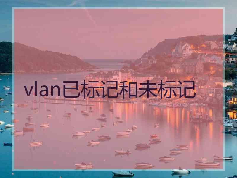 vlan已标记和未标记