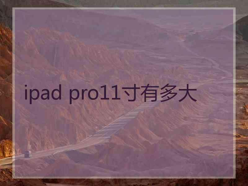 ipad pro11寸有多大