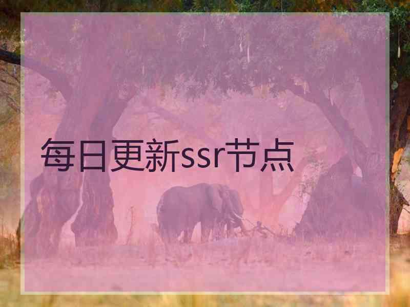 每日更新ssr节点