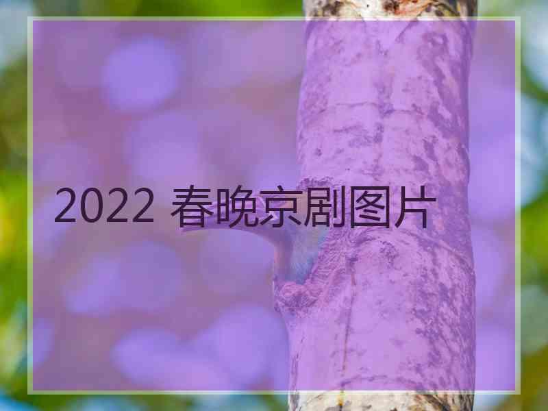 2022 春晚京剧图片