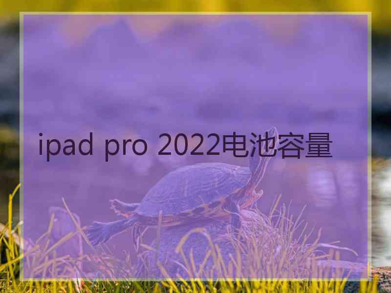 ipad pro 2022电池容量