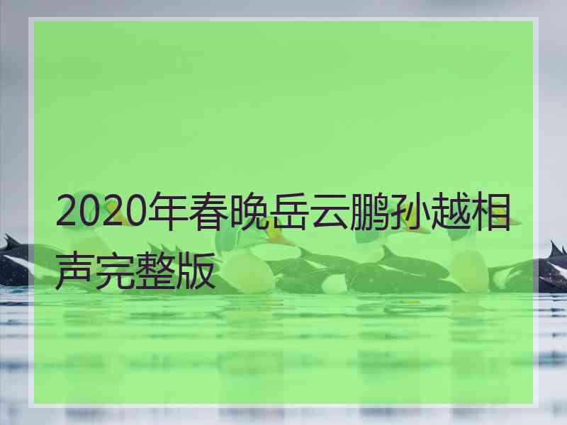 2020年春晚岳云鹏孙越相声完整版