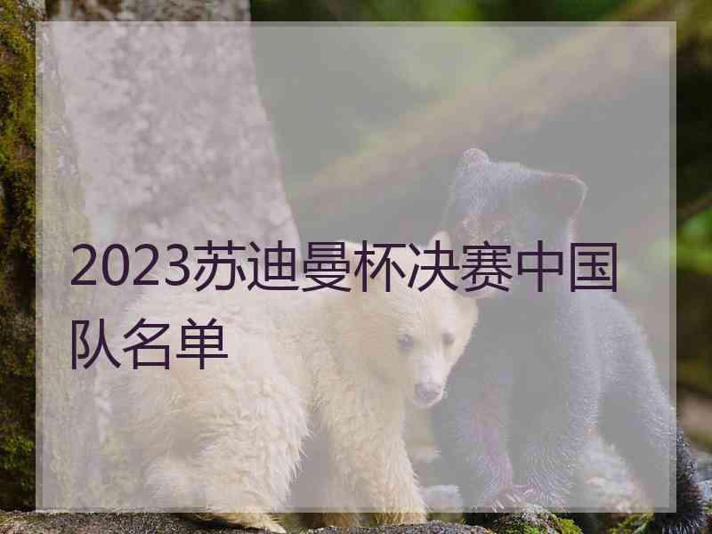 2023苏迪曼杯决赛中国队名单