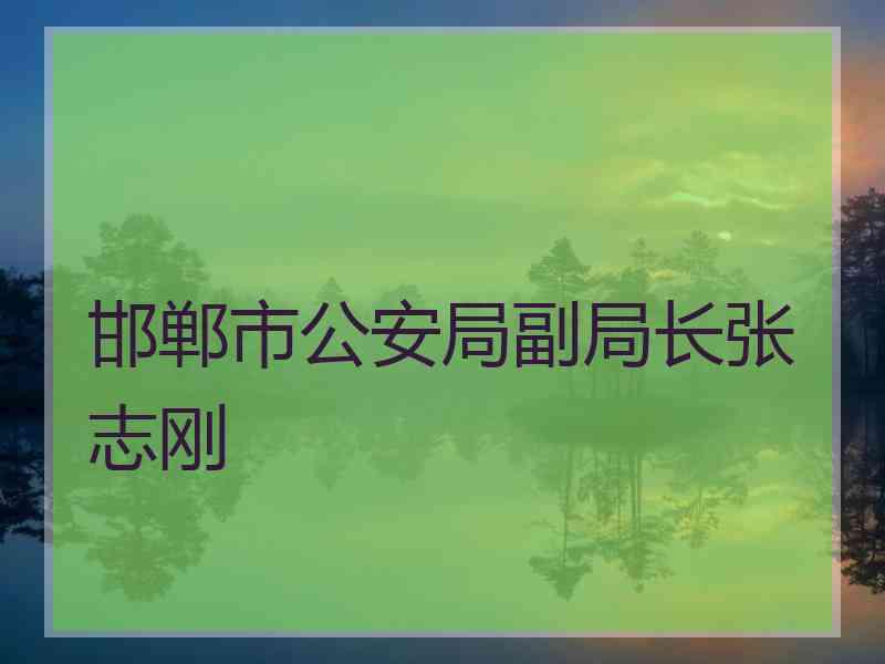 邯郸市公安局副局长张志刚