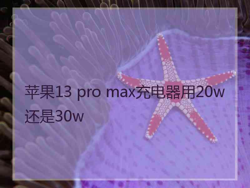 苹果13 pro max充电器用20w还是30w