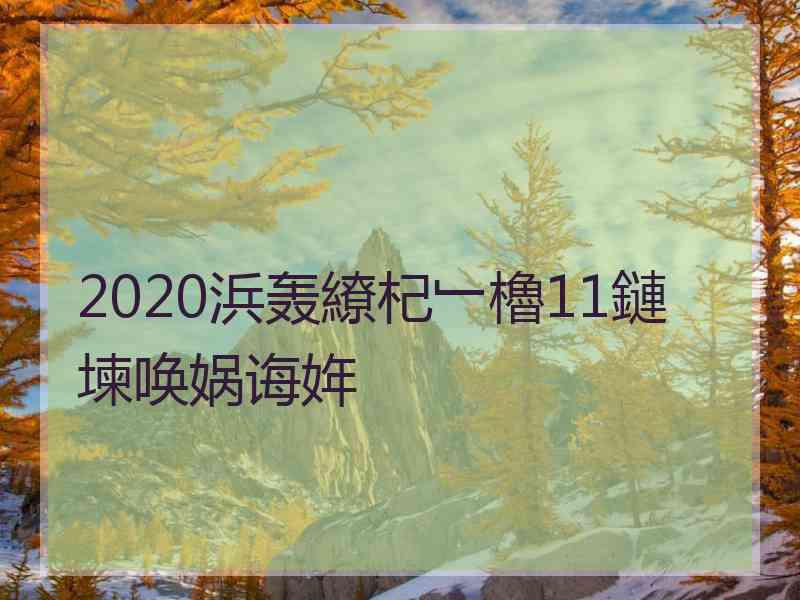 2020浜轰繚杞﹂櫓11鏈堜唤娲诲姩