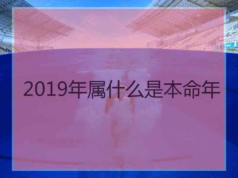 2019年属什么是本命年