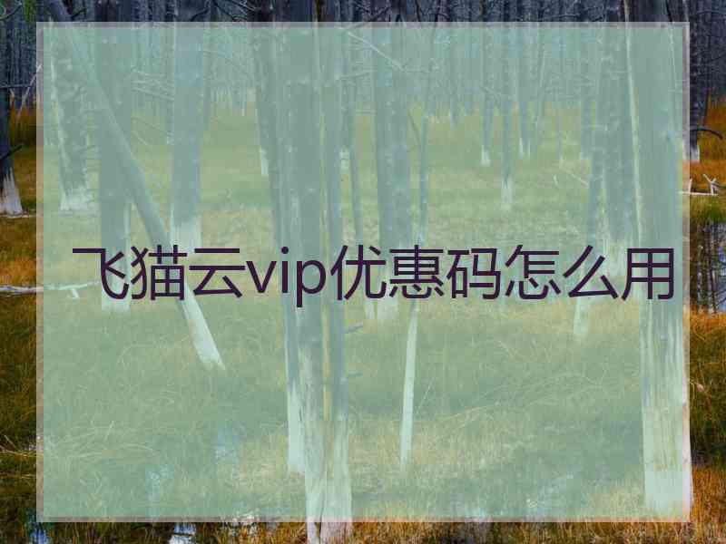 飞猫云vip优惠码怎么用