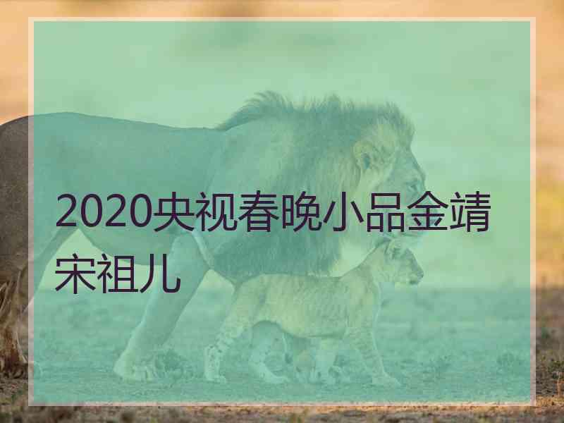 2020央视春晚小品金靖宋祖儿