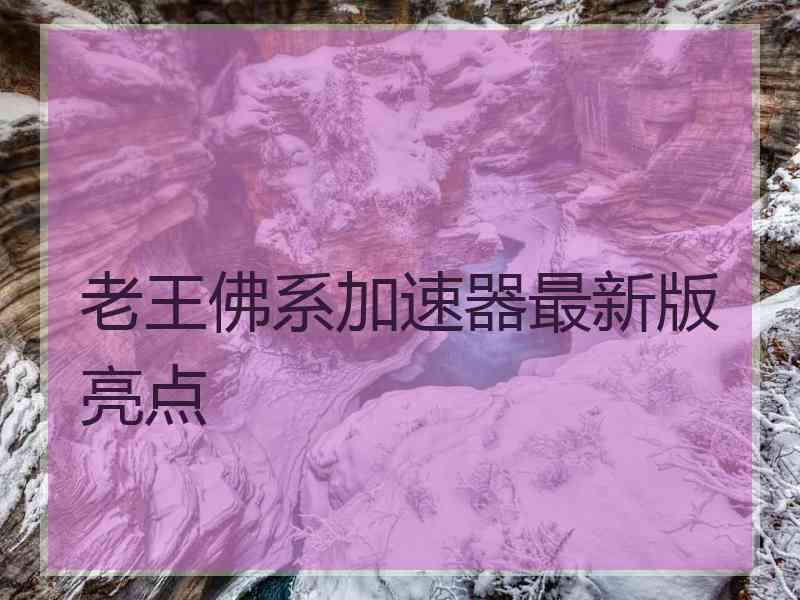 老王佛系加速器最新版亮点