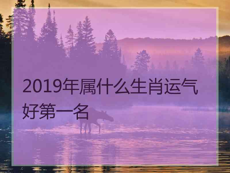 2019年属什么生肖运气好第一名