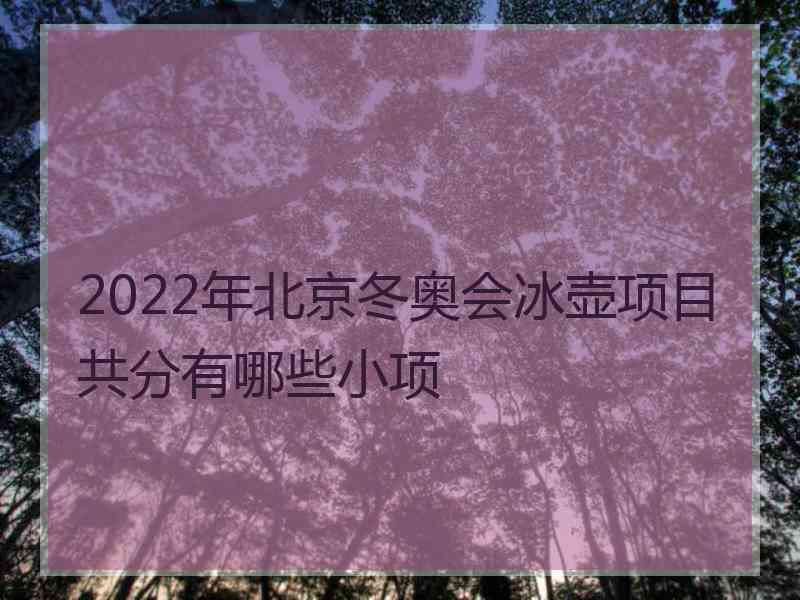 2022年北京冬奥会冰壶项目共分有哪些小项