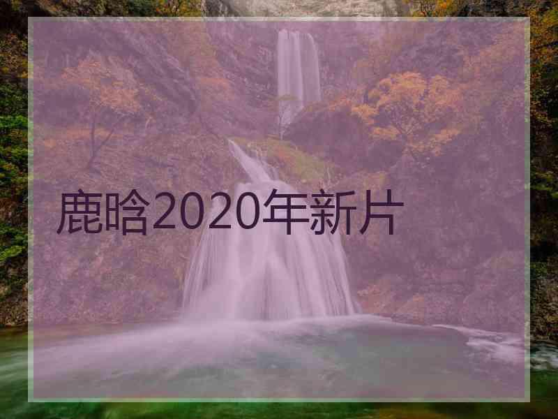 鹿晗2020年新片