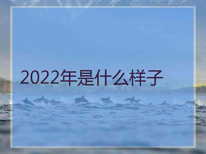 2022年是什么样子