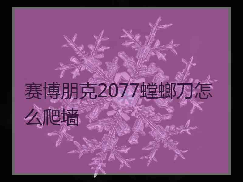 赛博朋克2077螳螂刀怎么爬墙