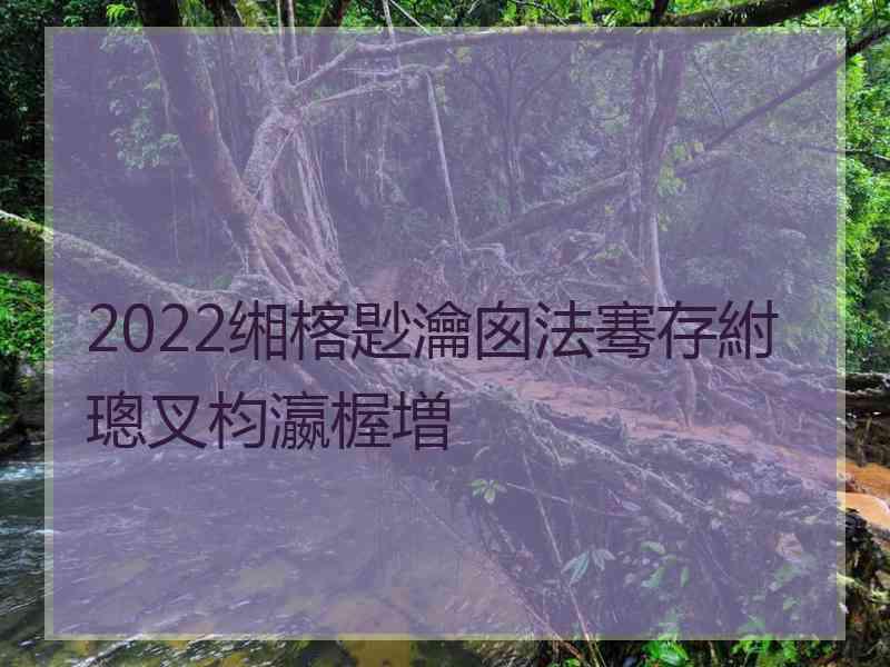 2022缃楁尟瀹囪法骞存紨璁叉枃瀛楃増