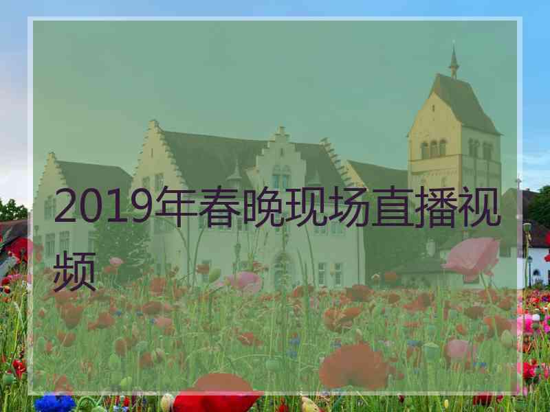 2019年春晚现场直播视频