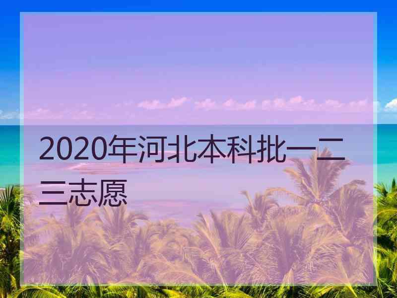 2020年河北本科批一二三志愿