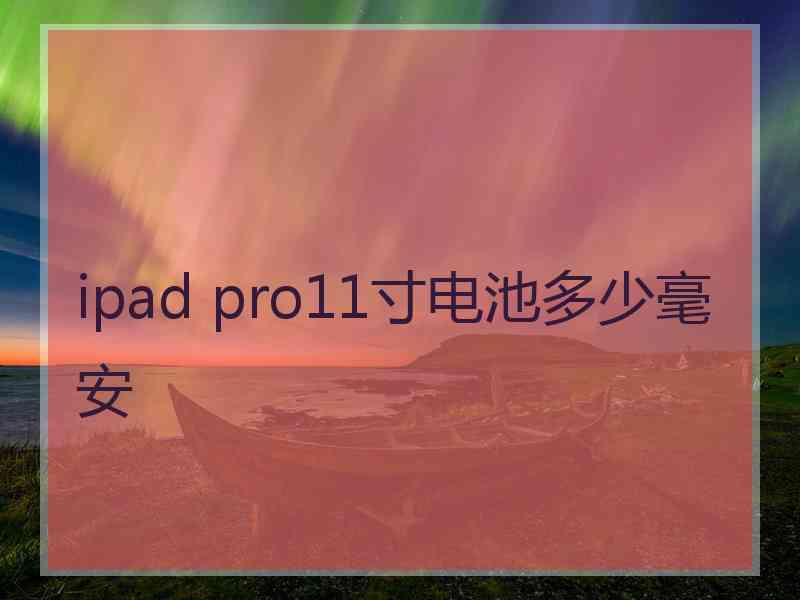 ipad pro11寸电池多少毫安