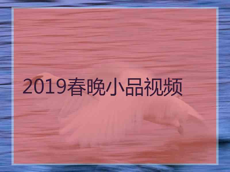 2019春晚小品视频