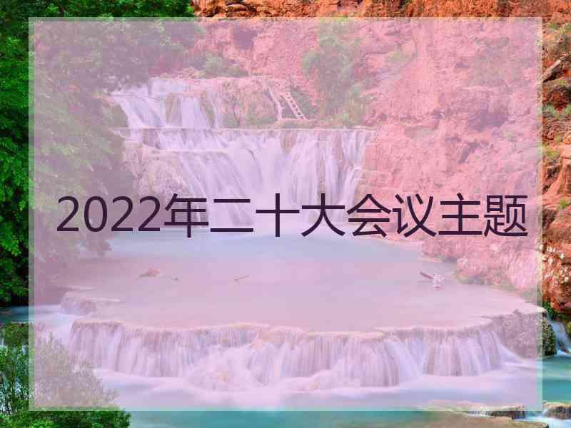 2022年二十大会议主题