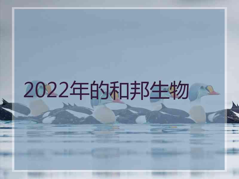 2022年的和邦生物