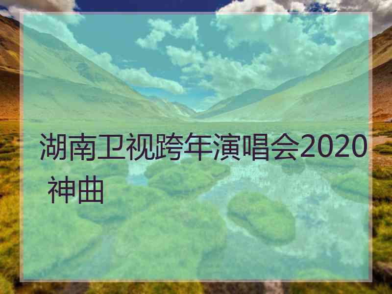 湖南卫视跨年演唱会2020 神曲