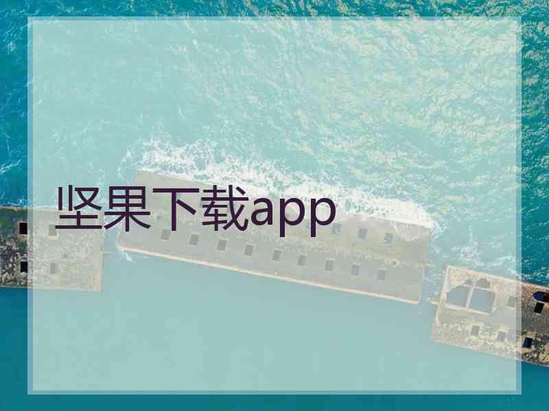 坚果下载app