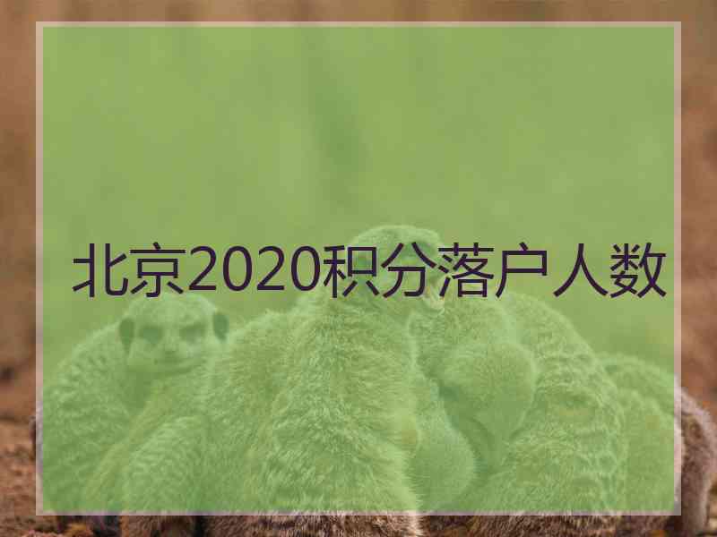 北京2020积分落户人数