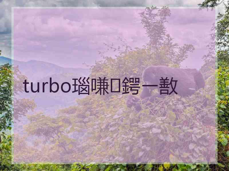 turbo瑙嗛鍔ㄧ敾