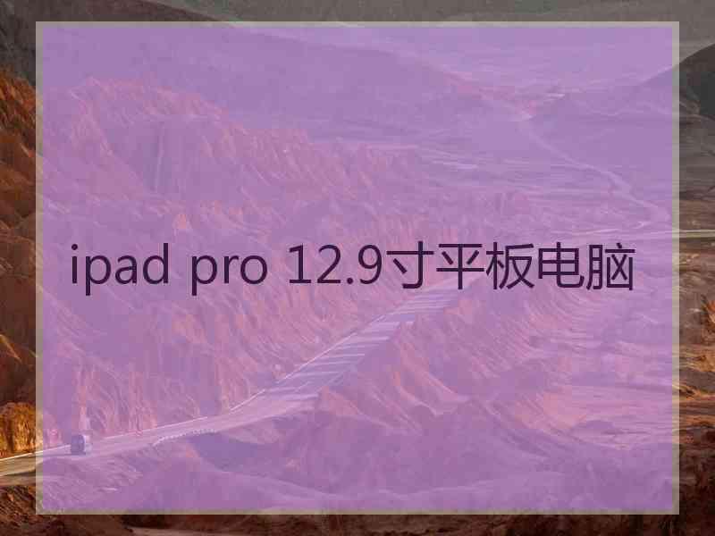 ipad pro 12.9寸平板电脑