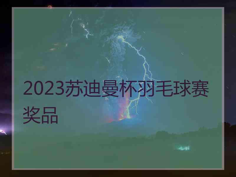 2023苏迪曼杯羽毛球赛奖品