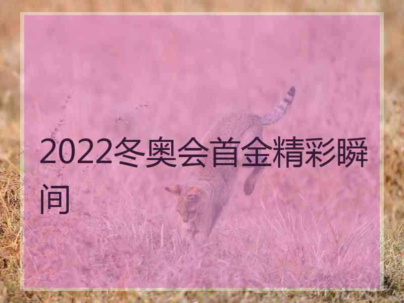 2022冬奥会首金精彩瞬间