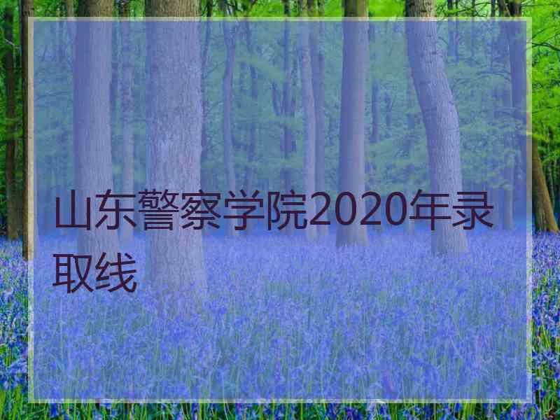 山东警察学院2020年录取线